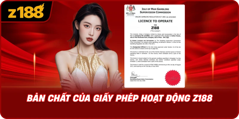 Bản Chất Của Giấy Phép Hoạt Động Z188