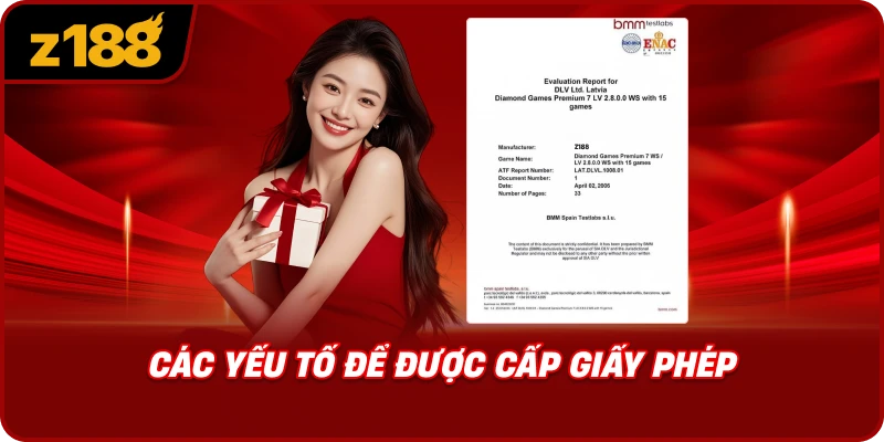 Các Yếu Tố Để Được Cấp Giấy Phép